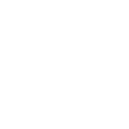 Taiga MCP Extension